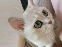 -青春加萌照相馆