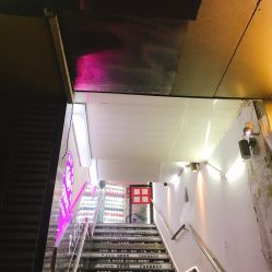 -P.STYLE 派斯造型