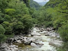 -青峰峡国家森林公园