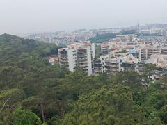 -仙岳公园