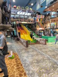 -卡通尼·Safari非洲探索乐园·生日会(金桥国际商业广场店)