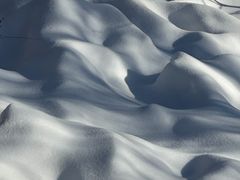 -横道河子东北虎林园