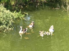 -长白岛森林公园