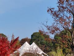 -梁鸿国家湿地公园