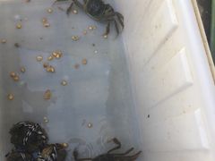 -乡乐园蟹庄·阳澄湖农家乐