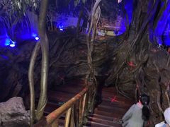 -上海大自然野生昆虫馆(东方明珠·爬宠昆虫探索中心)