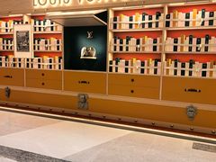 -LV路易威登(杭州万象城店)