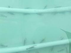-DGE季风钓虾营地·团建·聚会