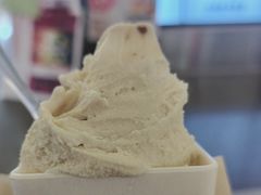 -野人先生现做冰淇淋(北京王府井东方新天地店)