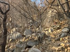 -大泽山风景名胜区