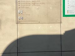 -贰柒松针包子