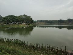 -东莞植物园