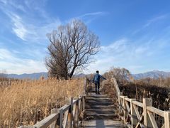 -野鸭湖国家湿地公园
