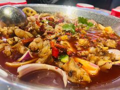 -海岛八号龙虾烧烤田鸡(蓝天路总店)