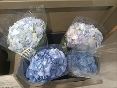 -鹿岛生活(熙地港店)