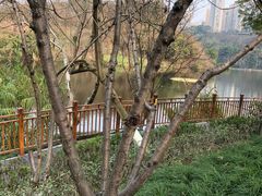 -重庆彩云湖湿地公园