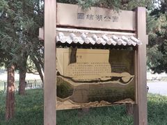 -团结湖公园