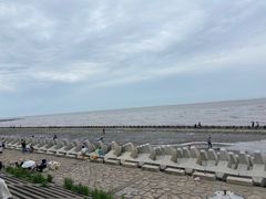 -南汇新城海滩