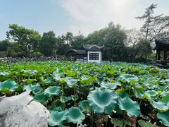 -无锡蠡湖国家湿地公园-蠡园