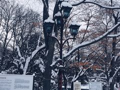 -北海道厅旧本厅舍(旧本庁舎)