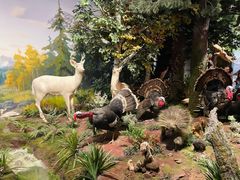 -陕西自然博物馆