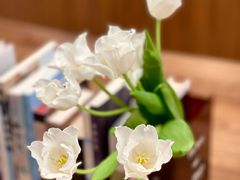 -二酉书店TOYOU BOOKS