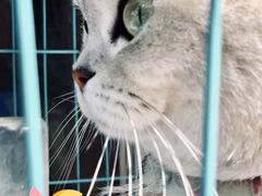 -桥门程记(兰州南关夜市店)