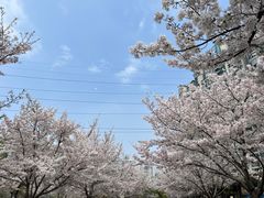 -小秋水饺(大成路总店)