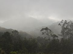 -海南热带雨林国家公园吊罗山景区