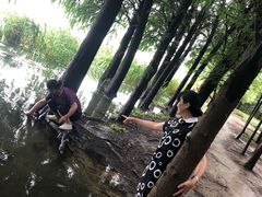-高子水居