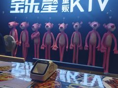 -宝乐星量贩KTV(莲升路店)
