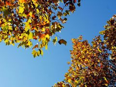 -济南国际园博园