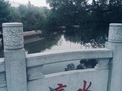 -小洲村