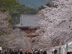 -醍醐寺