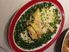 -圆苑(静安寺店)