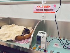 -派美特宠物医院·核磁CT·骨科肿瘤·疑难转诊(沈农禾丰店)