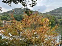 -白马涧龙池景区