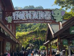 -野象谷景区