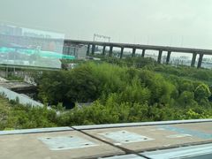 -龙阳路磁悬浮列车总站-停车场