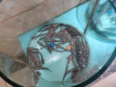 -美乐食街(小南店)