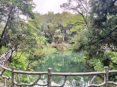 -常德桃花源景区