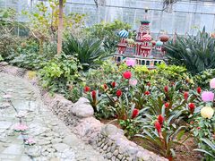 -南宫五洲植物乐园