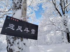 -雪谷