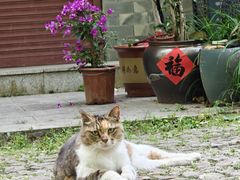 -灵谷景区