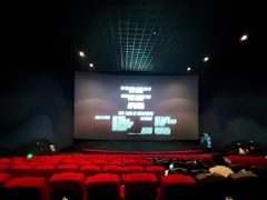 放映厅-万达影城(长安万达广场IMAX店)