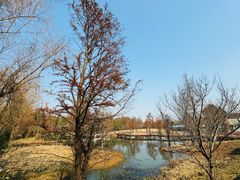 -同里国家湿地公园