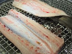 -银座苑烧肉酒场·烤活鳗(仙霞路店)