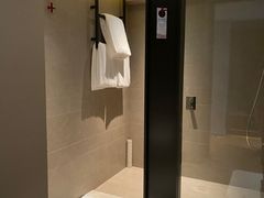 -新加坡瑞士史丹福酒店