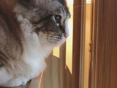 -白兔子密室(长寿路店)