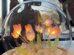 -奔驰上海利星(七宝店)